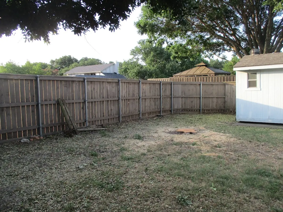 Cleared yard after professional tree removal in Isle Au Haut